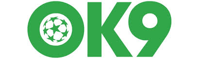 Ok9 logo